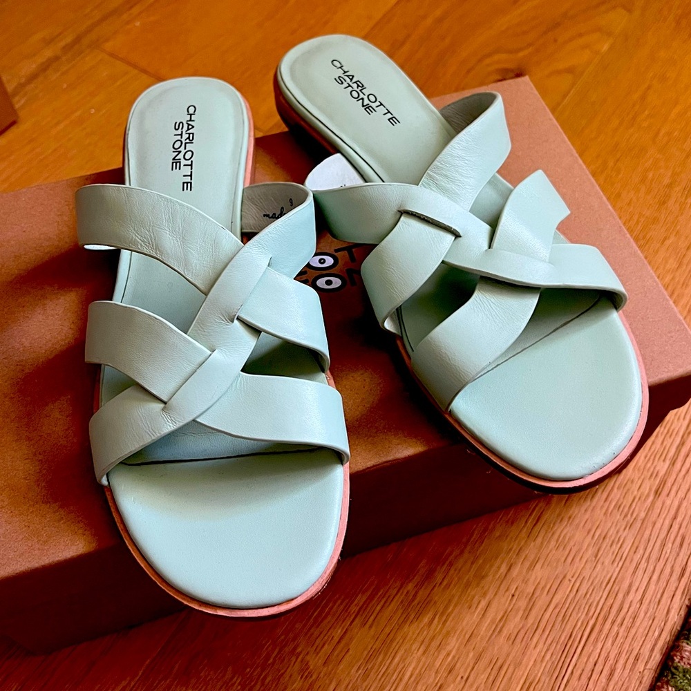 New in box Charlotte Stone Marva sandals in pistachio in size 9. Never worn.